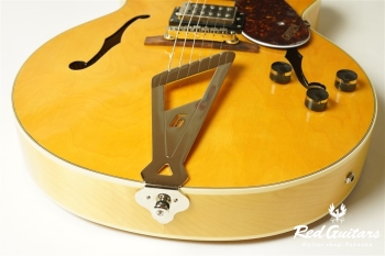 G2420 STREAMLINER HOLLOW BODY WITH CHROMATIC II VILLAGE AMBER